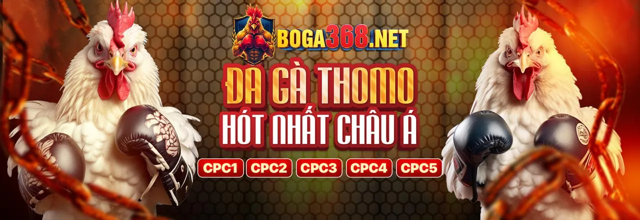 Ưu Đãi Hấp Dẫn fafa191 2026